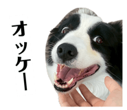 855392020