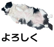 855392022