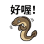 855392860