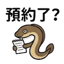 855392875