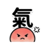 855393033