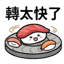 855393046