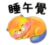 855396553