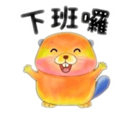 855396555
