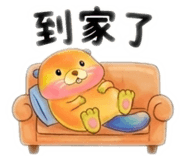 855396556
