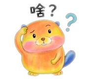 855396565