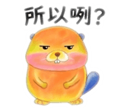 855396574