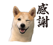 855397269