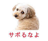 855397415