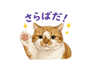 855400943