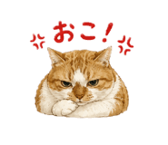 855400944