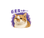 855400945