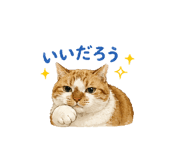 855400946