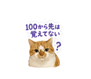 855400948