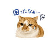 855400949