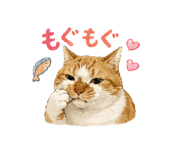 855400950