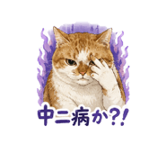 855400951