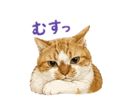 855400952