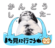 855401732