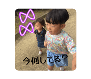 855402018