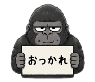 855402550