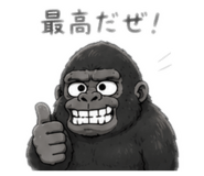 855402553