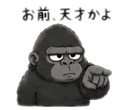 855402554