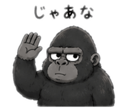 855402555