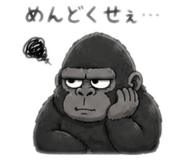 855402559