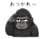 855402562