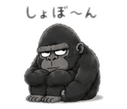 855402563
