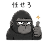 855402564