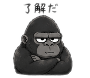 855402566
