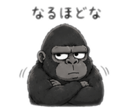 855402569