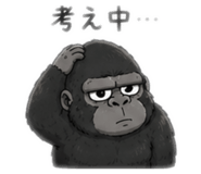 855402571