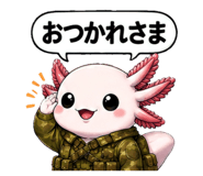 855402690