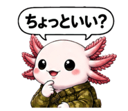 855402691