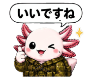 855402707