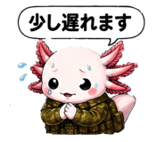855402714