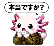 855402717