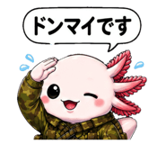 855402722