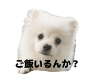 855402841