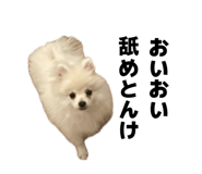 855402845