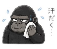 855403222