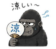 855403223