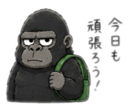855403241