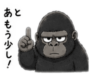 855403248