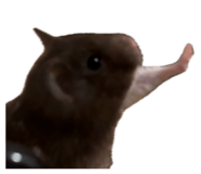 855403437
