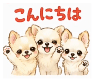 855404034