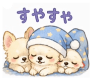 855404040